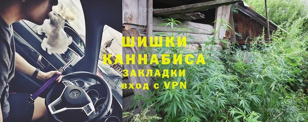 ПСИЛОЦИБИНОВЫЕ ГРИБЫ Богородицк