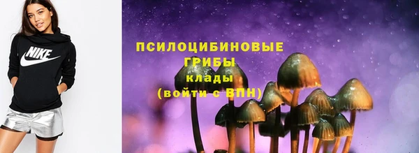 ПСИЛОЦИБИНОВЫЕ ГРИБЫ Богородицк