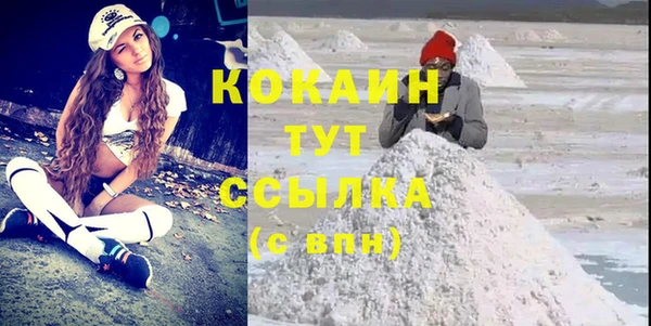 индика Белокуриха