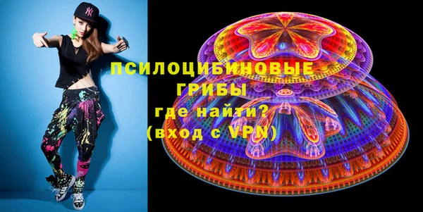 а пвп мука Бугульма