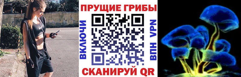 Галлюциногенные грибы ЛСД Дагестанские Огни